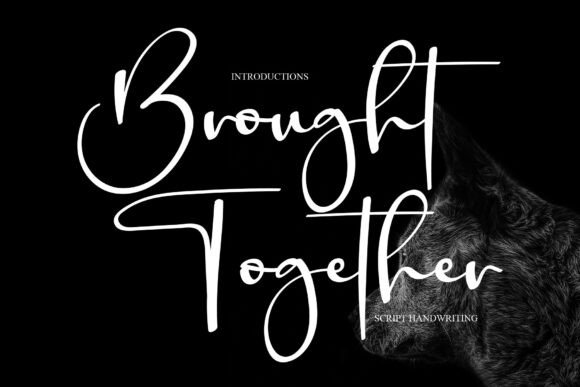 Brought Together: The Script Font That Unifies Your Brand