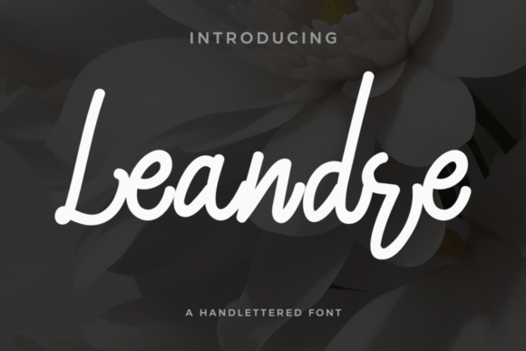 Leandre Font: The Script Typeface That Elevates Campaign Visuals